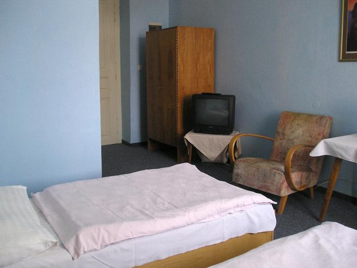 Hotel Dvorak Chrast Extérieur photo