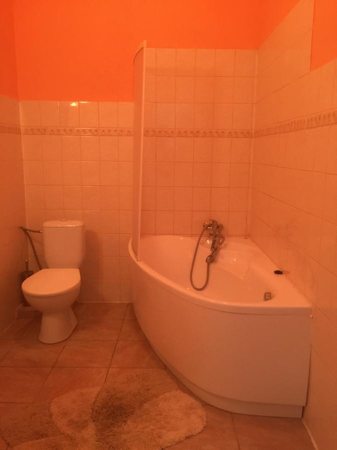 Hotel Dvorak Chrast Extérieur photo